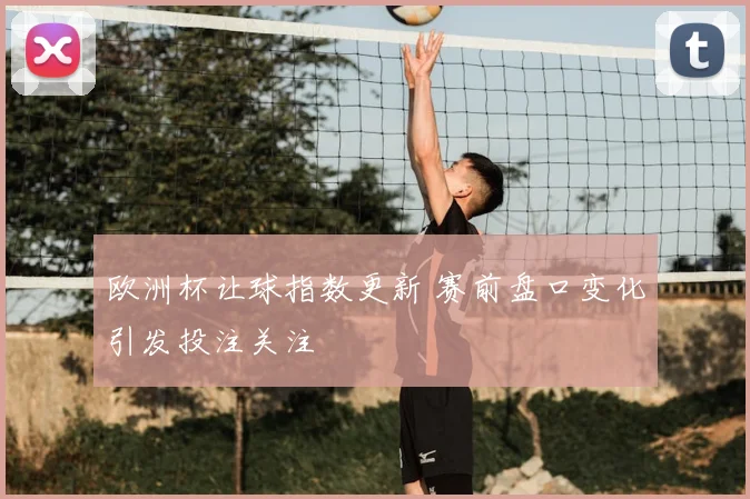 欧洲杯让球指数更新 赛前盘口变化引发投注关注