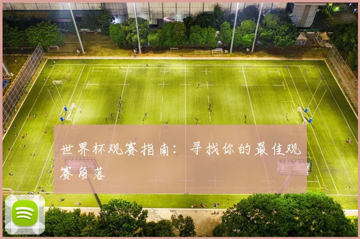 世界杯观赛指南：寻找你的最佳观赛角落
