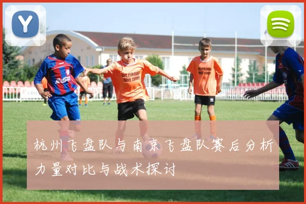 杭州飞盘队与南京飞盘队赛后分析力量对比与战术探讨
