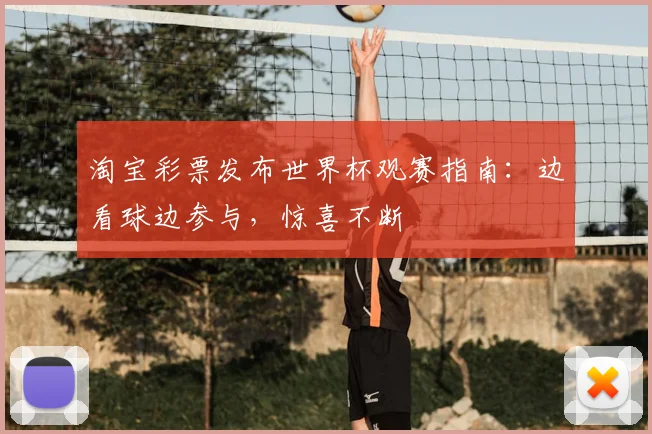 淘宝彩票发布世界杯观赛指南:边看球边参与,惊喜不断