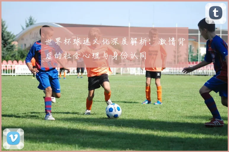 世界杯球迷文化深度解析：激情背后的社会心理与身份认同