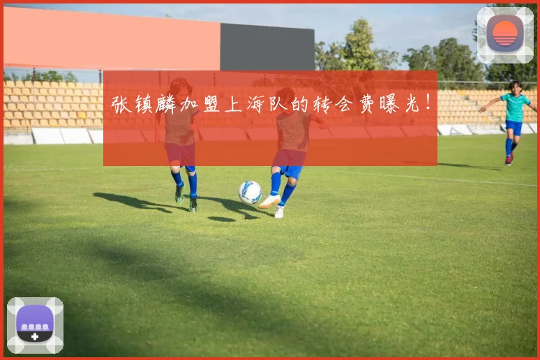 张镇麟加盟上海队的转会费曝光!
