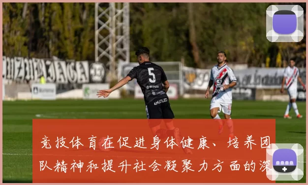 竞技体育在促进身体健康、培养团队精神和提升社会凝聚力方面的深远意义与价值探讨