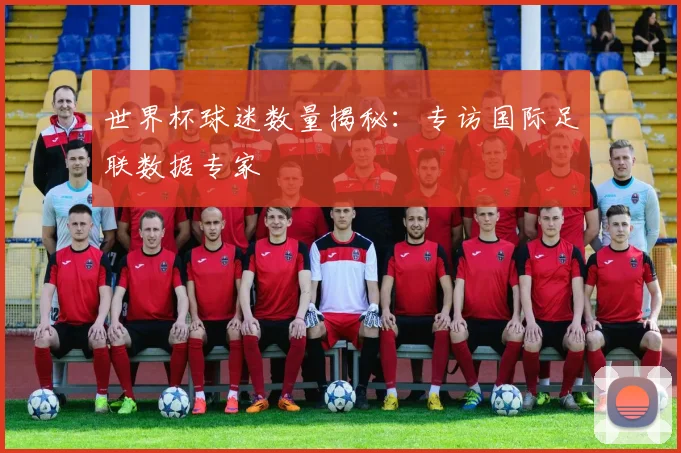 世界杯球迷数量揭秘：专访国际足联数据专家