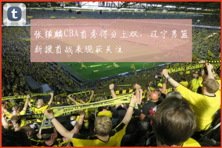 张镇麟CBA首秀得分上双，辽宁男篮新援首战表现获关注