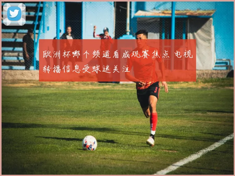 欧洲杯哪个频道看成观赛焦点 电视转播信息受球迷关注