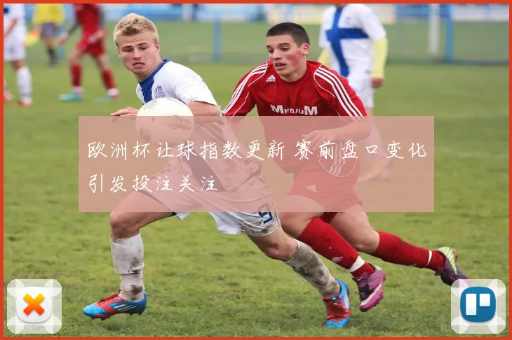 欧洲杯让球指数更新 赛前盘口变化引发投注关注