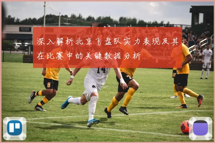 深入解析北京飞盘队实力表现及其在比赛中的关键数据分析