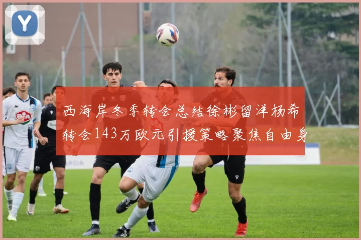 西海岸冬季转会总结徐彬留洋杨希转会143万欧元引援策略聚焦自由身球员