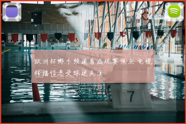 欧洲杯哪个频道看成观赛焦点 电视转播信息受球迷关注