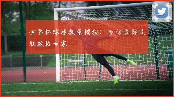 世界杯球迷数量揭秘：专访国际足联数据专家