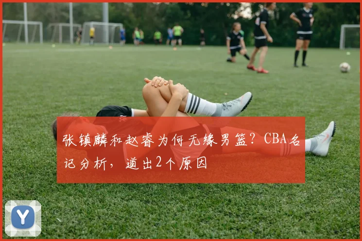 张镇麟和赵睿为何无缘男篮?CBA名记分析,道出2个原因
